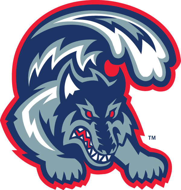 Stony Brook Seawolves 1998-2007 Alternate Logo t shirts iron on transfers